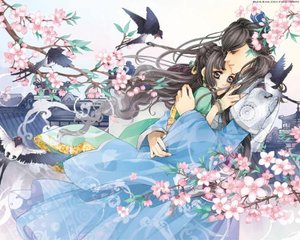 秋葵香蕉丝瓜茄子榴莲